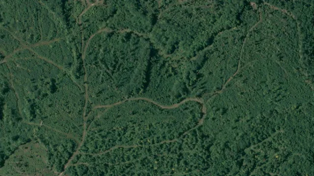 Remote monitoring for Canadian conservation