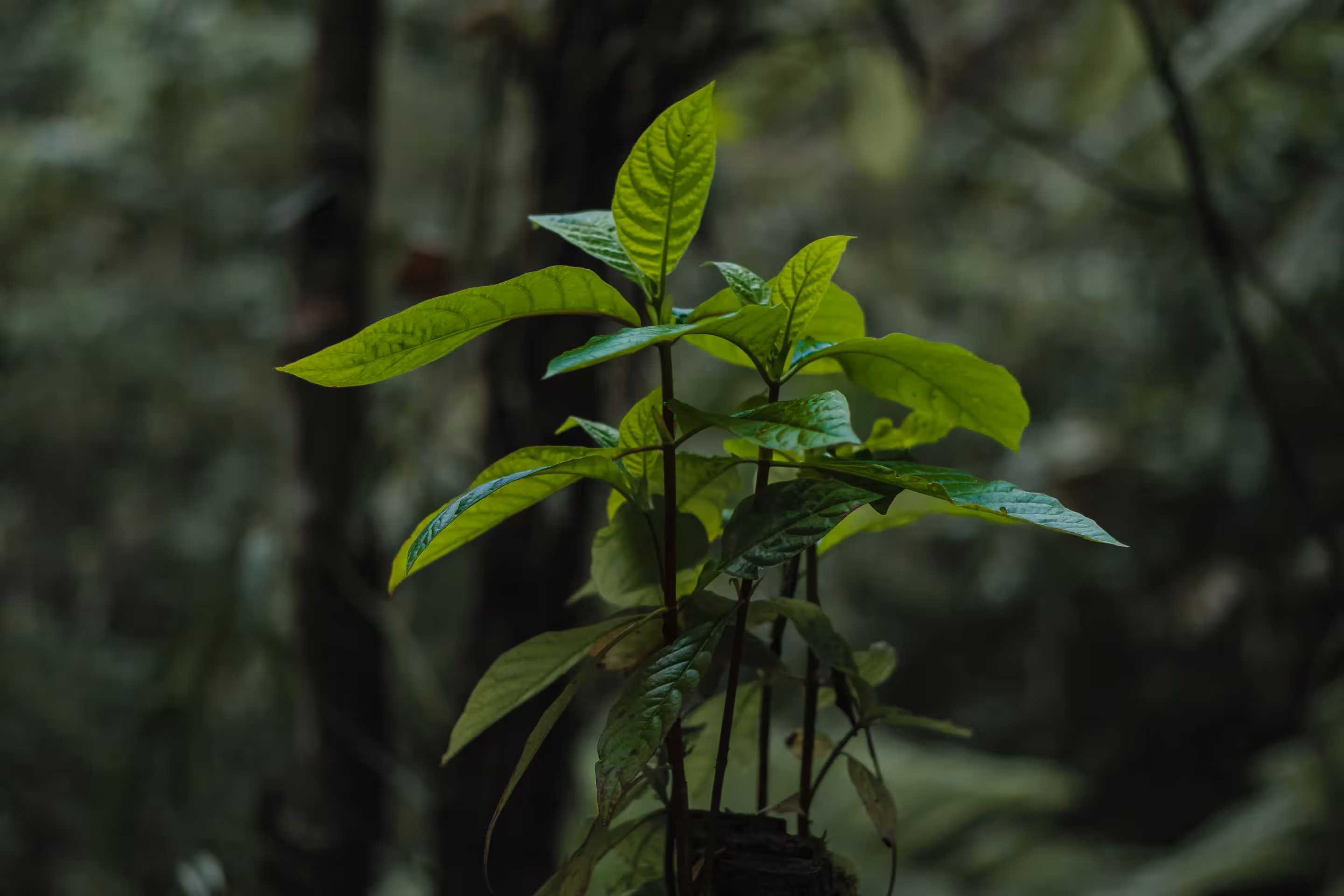 What we're reading: The positive impact of conservation action