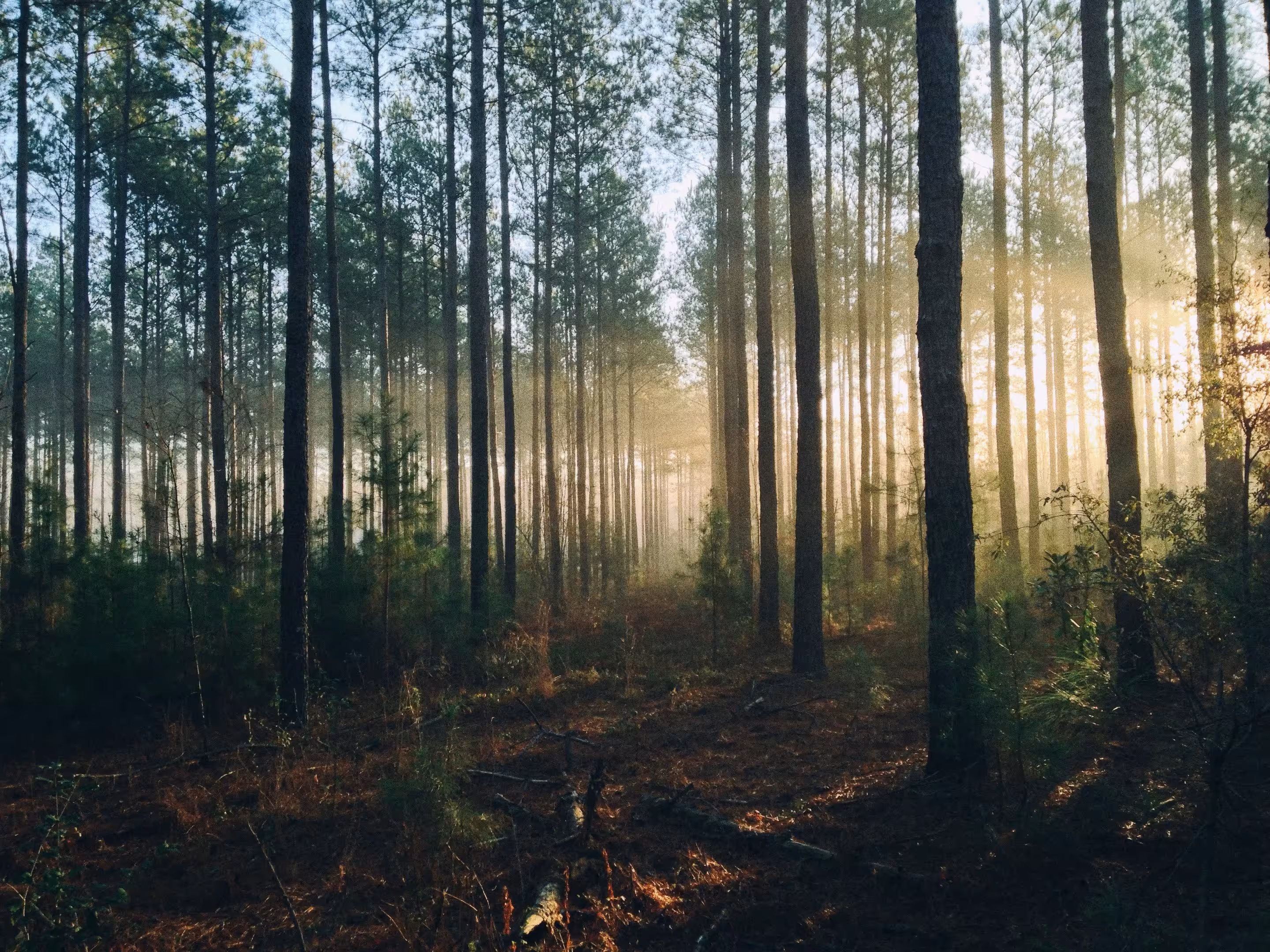 Upstream Tech receives grant from US Forest Service to support expanded remote monitoring pilot in 2023