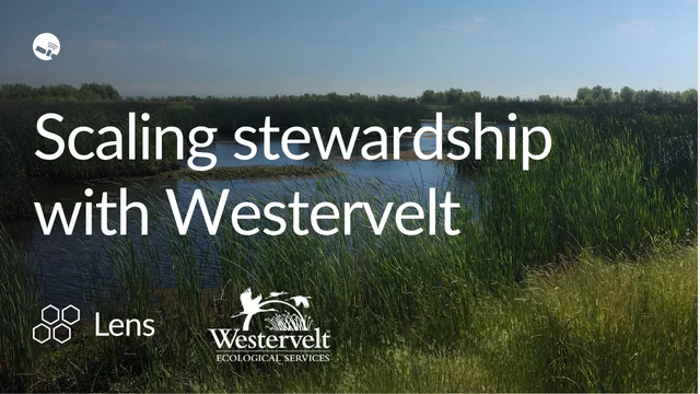 Scaling stewardship: Inside Westervelt's monitoring workflow with Lens