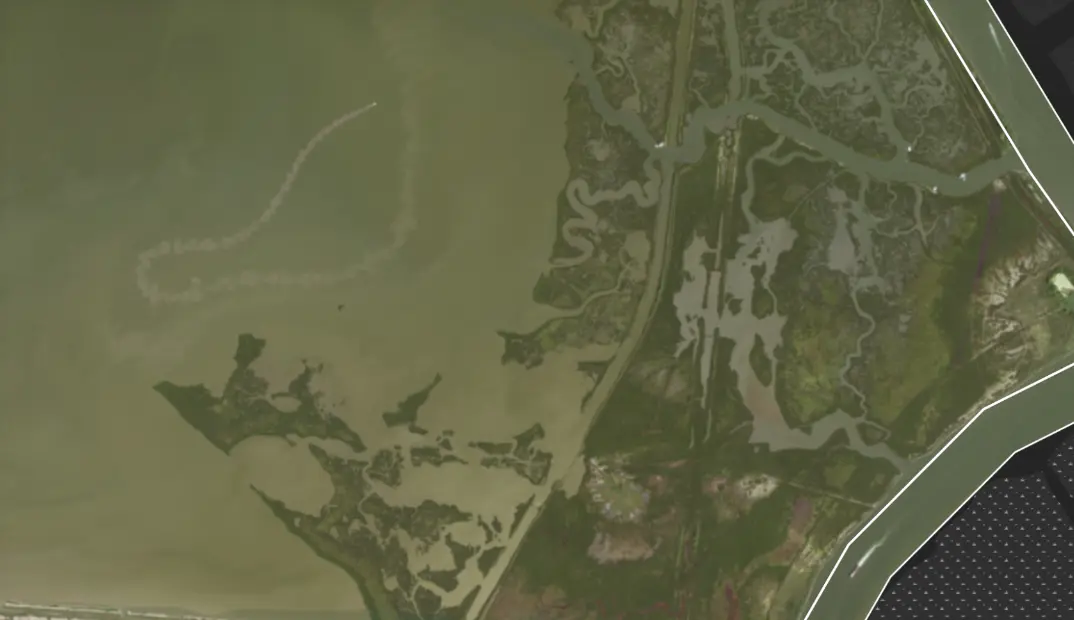 Recognizing the importance of wetland monitoring on World Wetlands Day